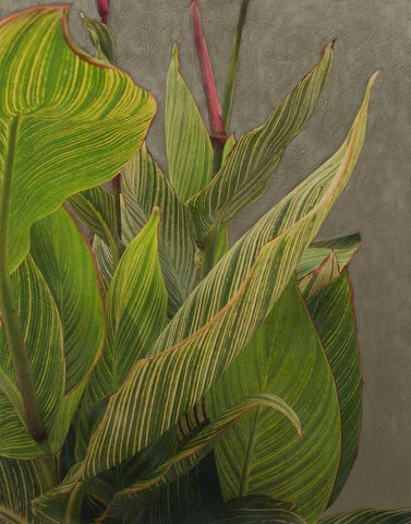 Non-Embellished Dramatic Leaves II Black Ornate Wood Framed Art Print with Double Matting by Zarris, Charliklia