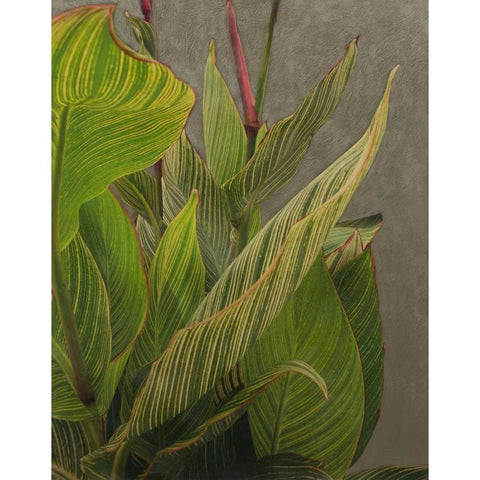 Non-Embellished Dramatic Leaves II Black Modern Wood Framed Art Print with Double Matting by Zarris, Charliklia