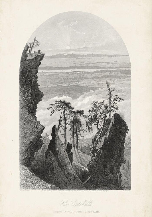 Image Only
