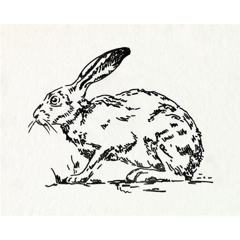 Resting Hare I Black Modern Wood Framed Art Print with Double Matting by Caroline, Emma