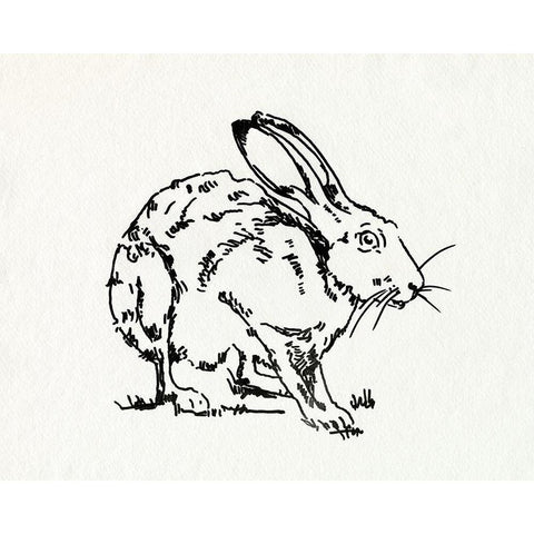 Resting Hare II Black Modern Wood Framed Art Print with Double Matting by Caroline, Emma