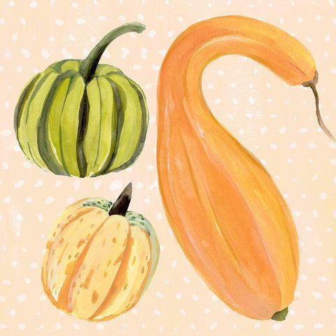 Decorative Gourd I White Modern Wood Framed Art Print with Double Matting by Warren, Annie