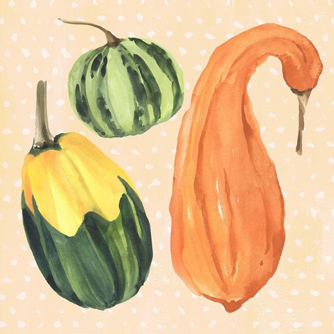 Decorative Gourd IV Black Modern Wood Framed Art Print by Warren, Annie