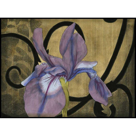 Iris and Scrolls I Black Modern Wood Framed Art Print with Double Matting by Goldberger, Jennifer