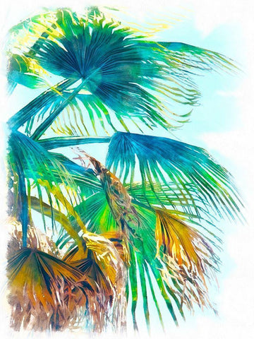 Tropical Glow I Black Ornate Wood Framed Art Print with Double Matting by Saunders, Alonzo