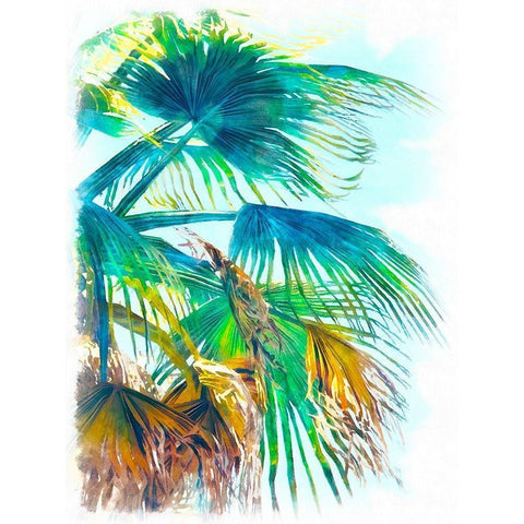Tropical Glow I Black Modern Wood Framed Art Print by Saunders, Alonzo