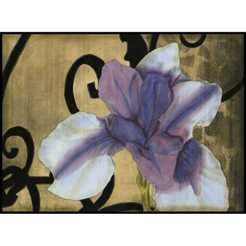 Iris and Scrolls II White Modern Wood Framed Art Print by Goldberger, Jennifer