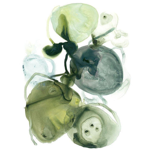 Orbital Lichen I Black Modern Wood Framed Art Print with Double Matting by Vess, June Erica