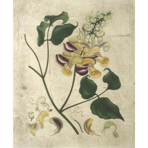 Aubergine Florals I Gold Ornate Wood Framed Art Print with Double Matting by Vision Studio