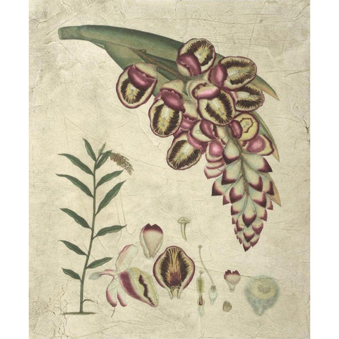 Aubergine Florals II Gold Ornate Wood Framed Art Print with Double Matting by Vision Studio