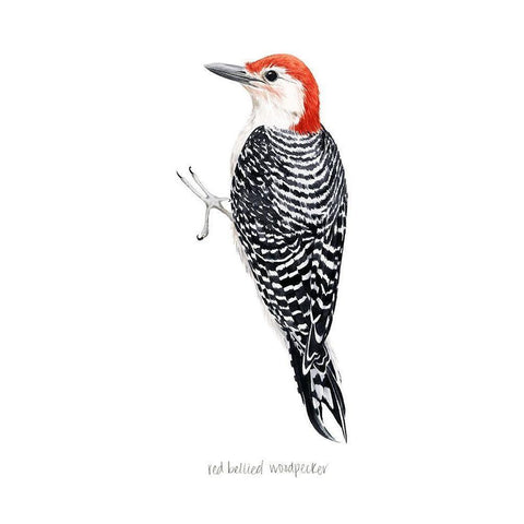 Watercolor Woodpecker III Gold Ornate Wood Framed Art Print with Double Matting by Popp, Grace