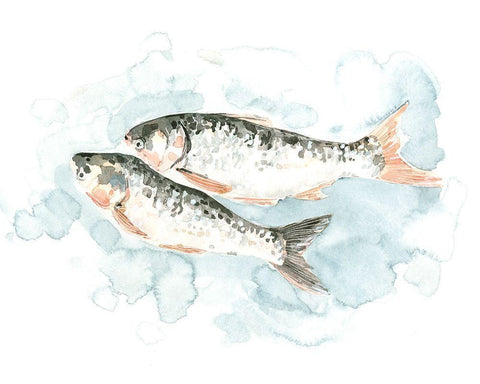 Pisces Pair I White Modern Wood Framed Art Print with Double Matting by Caroline, Emma