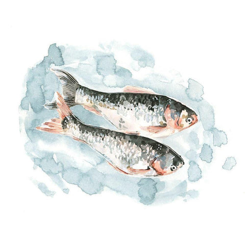 Pisces Pair II White Modern Wood Framed Art Print by Caroline, Emma