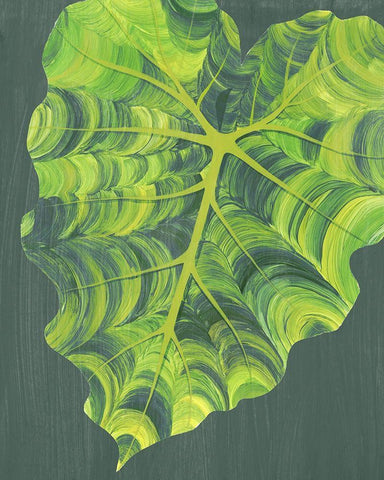 Elephant Ears II White Modern Wood Framed Art Print with Double Matting by Popp, Grace