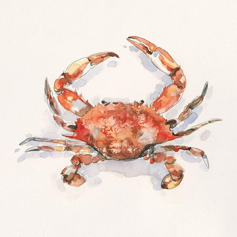 Crusty Crab I White Modern Wood Framed Art Print with Double Matting by Caroline, Emma