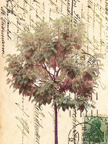 In Good Spirits I White Modern Wood Framed Art Print with Double Matting by Saunders, Alonzo