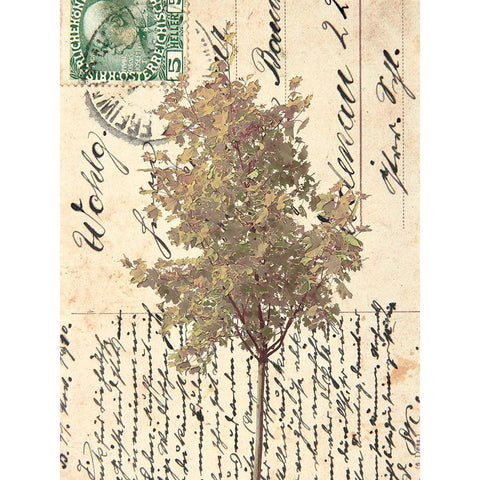 In Good Spirits II White Modern Wood Framed Art Print by Saunders, Alonzo