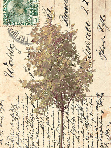 In Good Spirits II White Modern Wood Framed Art Print with Double Matting by Saunders, Alonzo