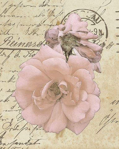 Wishing You Well II Black Ornate Wood Framed Art Print with Double Matting by Saunders, Alonzo