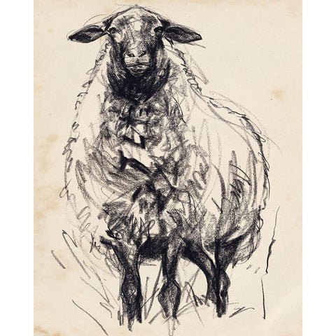 Charcoal Sheep I White Modern Wood Framed Art Print by Parker, Jennifer Paxton