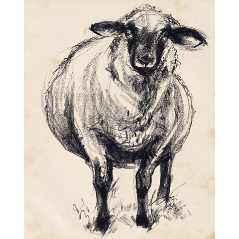 Charcoal Sheep II Gold Ornate Wood Framed Art Print with Double Matting by Parker, Jennifer Paxton