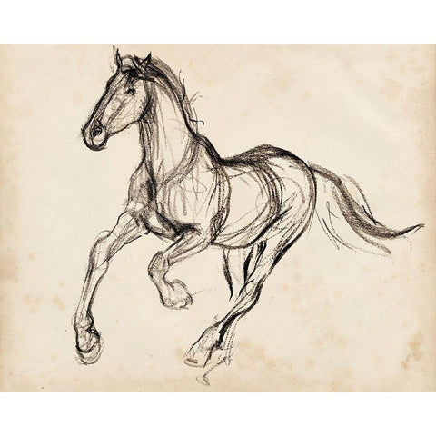 Gestural Apaloosa I Black Modern Wood Framed Art Print with Double Matting by Parker, Jennifer Paxton