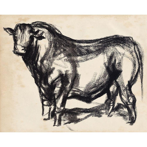 Black Angus II Black Modern Wood Framed Art Print with Double Matting by Parker, Jennifer Paxton