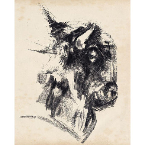 Bison Head Gesture I Black Modern Wood Framed Art Print with Double Matting by Parker, Jennifer Paxton