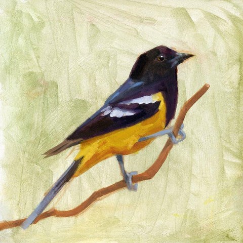 Backyard Birds I White Modern Wood Framed Art Print by Green, Jacob