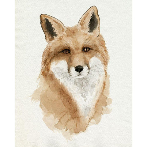 Den Mother II Black Modern Wood Framed Art Print by Popp, Grace