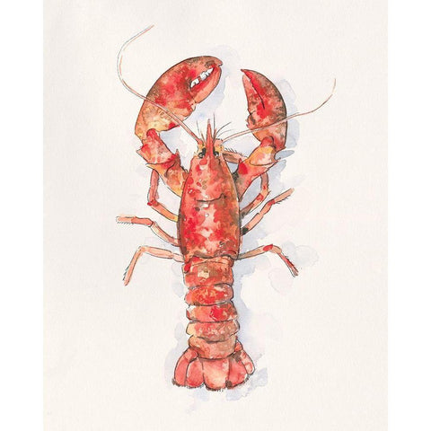 Salty Lobster I Black Modern Wood Framed Art Print with Double Matting by Caroline, Emma