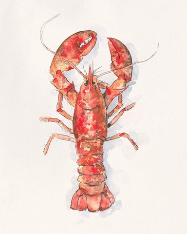 Salty Lobster I White Modern Wood Framed Art Print with Double Matting by Caroline, Emma