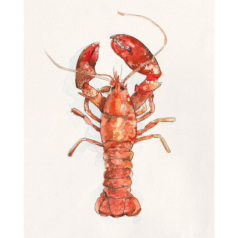 Salty Lobster II Black Modern Wood Framed Art Print with Double Matting by Caroline, Emma