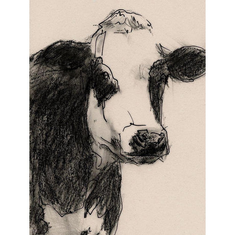 Cow Portrait Sketch I White Modern Wood Framed Art Print by Barnes, Victoria