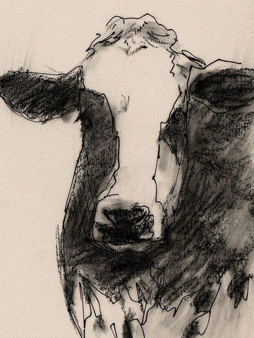 Cow Portrait Sketch II Black Ornate Wood Framed Art Print with Double Matting by Barnes, Victoria