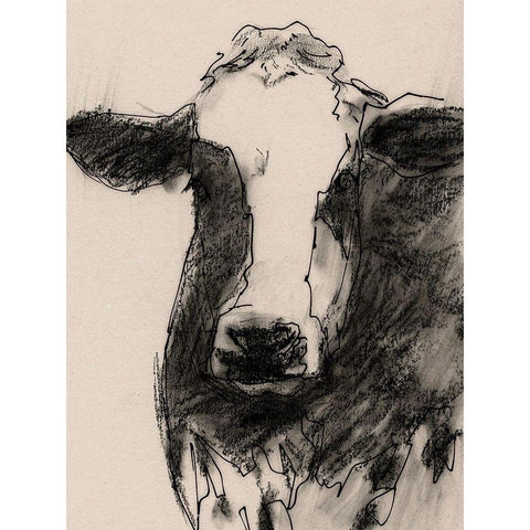 Cow Portrait Sketch II Gold Ornate Wood Framed Art Print with Double Matting by Barnes, Victoria