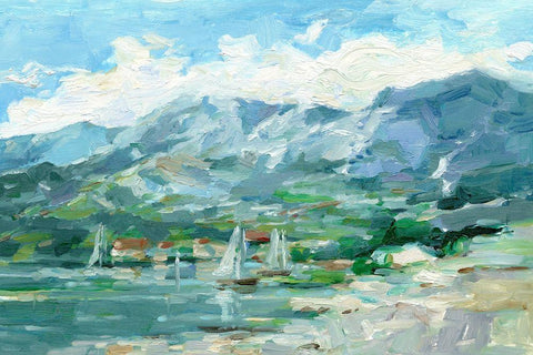 Sailing Along the Coast I Black Ornate Wood Framed Art Print with Double Matting by Harper, Ethan