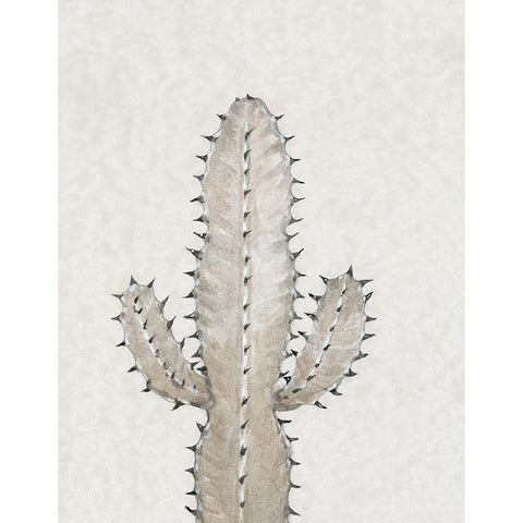 Cactus Study I White Modern Wood Framed Art Print by OToole, Tim