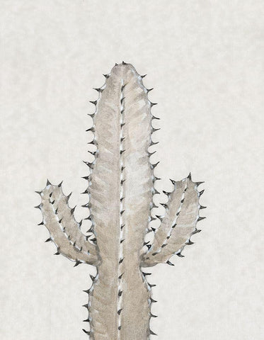 Cactus Study I Black Ornate Wood Framed Art Print with Double Matting by OToole, Tim