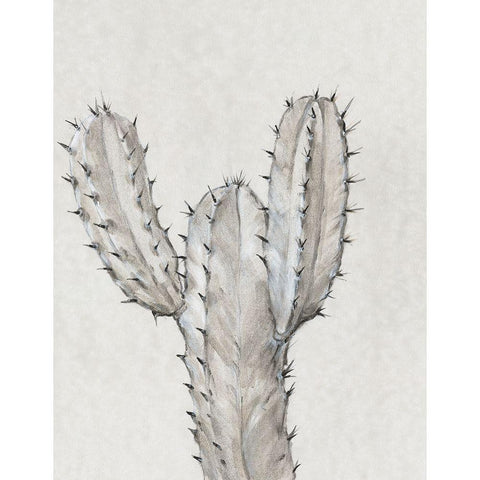 Cactus Study II White Modern Wood Framed Art Print by OToole, Tim