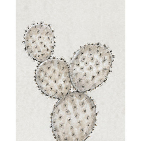 Cactus Study IV White Modern Wood Framed Art Print by OToole, Tim