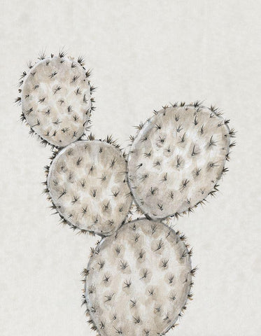Cactus Study IV White Modern Wood Framed Art Print with Double Matting by OToole, Tim