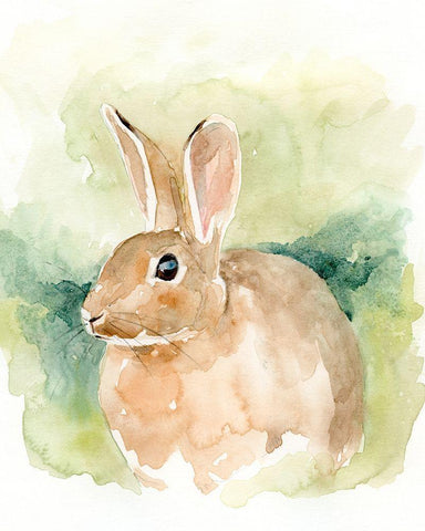 Field Bunny II White Modern Wood Framed Art Print with Double Matting by Barnes, Victoria