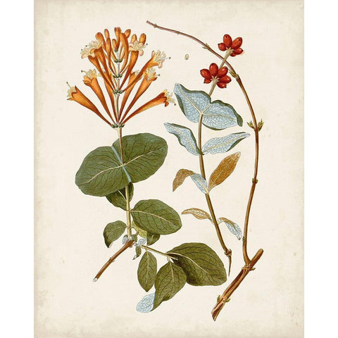 Vintage Flowering Trees IV Gold Ornate Wood Framed Art Print with Double Matting by Unknown