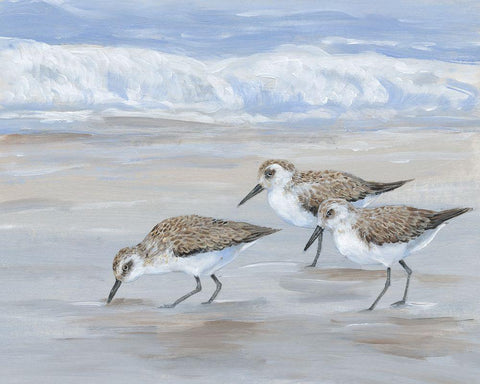 Sandpipers II Black Ornate Wood Framed Art Print with Double Matting by OToole, Tim