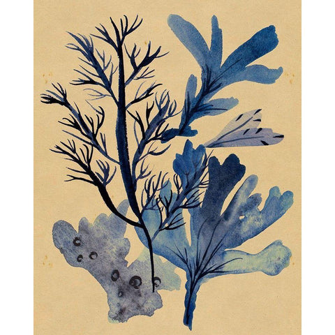 Underwater Forest I Black Modern Wood Framed Art Print with Double Matting by Wang, Melissa