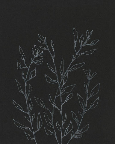 Simple Stalk I Black Ornate Wood Framed Art Print with Double Matting by Moore, Regina