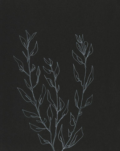 Simple Stalk II White Modern Wood Framed Art Print with Double Matting by Moore, Regina
