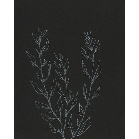 Simple Stalk II Black Modern Wood Framed Art Print by Moore, Regina