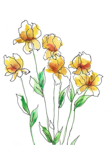 Amber Tulips II White Modern Wood Framed Art Print with Double Matting by Moore, Regina
